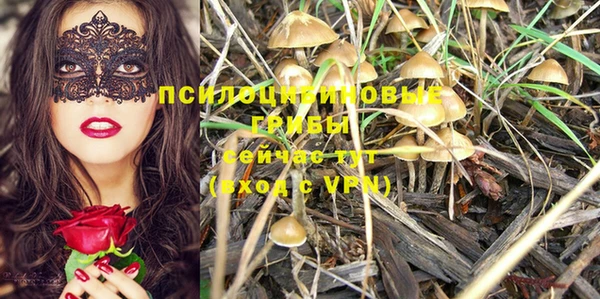 амф Баксан
